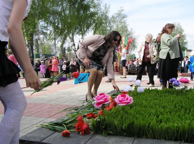 image 31